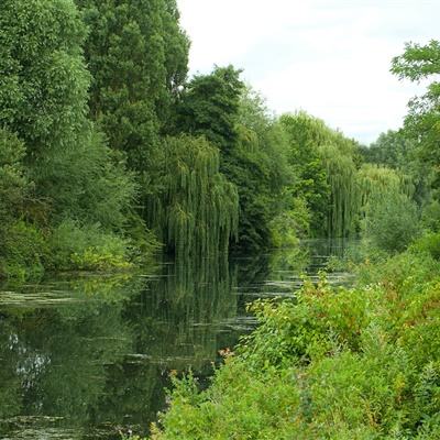 B体育登录APP下载